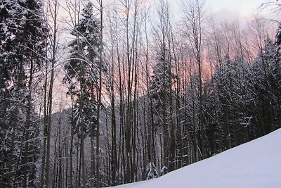 Vakantieappartement Gezinsvakantie Elzach