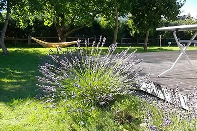 Meer u. Achterwasser