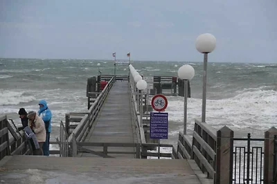 Wohnung 1 und 2 (206 qm)