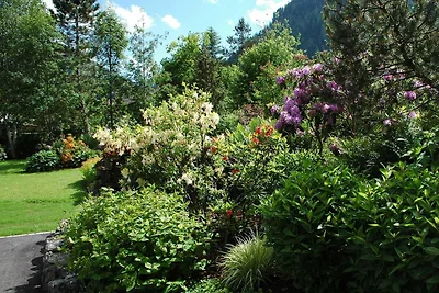 Vakantieappartement Gezinsvakantie Tannheim