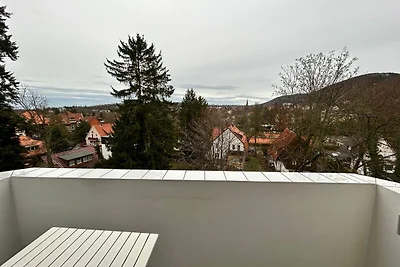 Appartamento Vacanza con famiglia Bad Harzburg