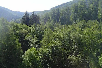 Appartamento Vacanza con famiglia Bad Harzburg