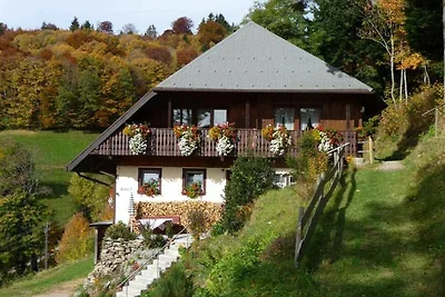 Vakantieappartement Gezinsvakantie Wieden