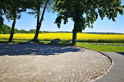 Vakantieappartement Gezinsvakantie Alt Necheln