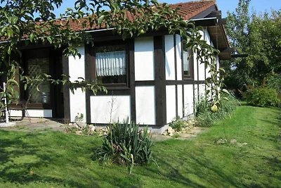 Ferienhaus 85 Scout 42qm für max.