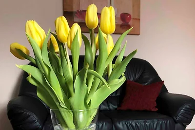 Appartamento Vacanza con famiglia Horumersiel