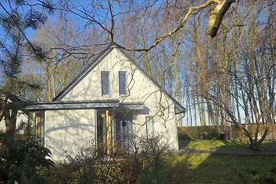 Doppelhaushälfte Strandhaus