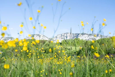 Ferienwohnung 11