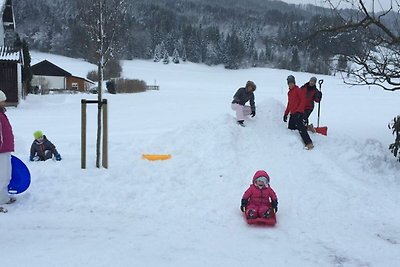 Appartamento Vacanza con famiglia Mondsee