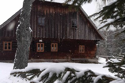 Casa vacanze Vacanza di relax Sankt Pölten