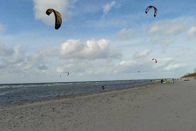 Haus zum Strand App.3 Muschel