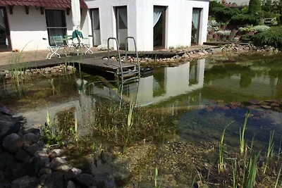 Vakantieappartement Gezinsvakantie Feldberg