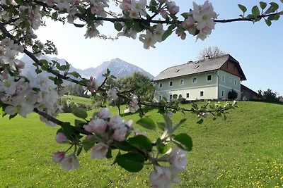 Vogerlgsang