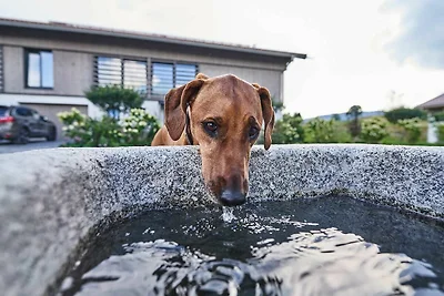 Appartamento Vacanza con famiglia Fischbachau