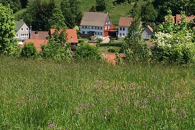 Haus am Mühlenberg