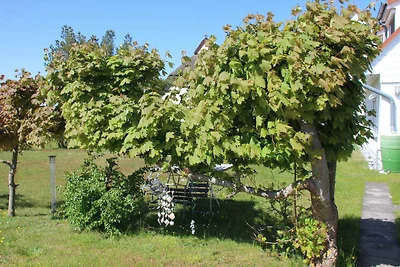 Appartamento Vacanza con famiglia Hiddensee