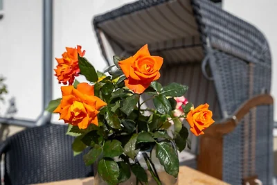 Appartement Meeresrauschen