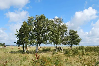 Doppelzimmer Boddenblick