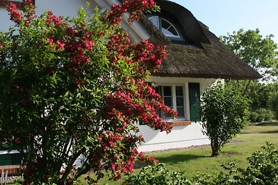 Vakantieappartement Gezinsvakantie Born