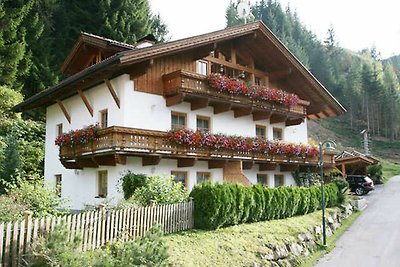 Ferienwohnung 1 - Terrasse