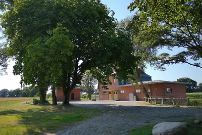 Vakantieappartement Gezinsvakantie Alt Necheln