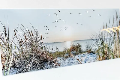 apartman za odmor Obiteljski odmor Carolinensiel