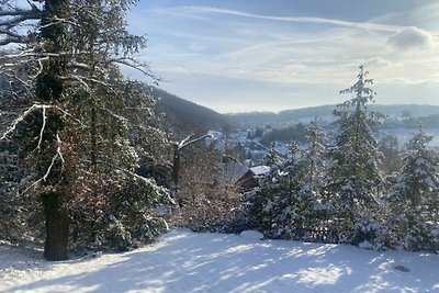 Vakantiehuis Ontspannende vakantie Sangerhausen