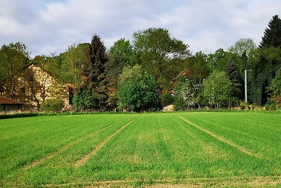 Ferienwohnung Mühlradblick first