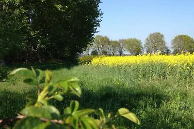 4-Raum-Ferienhaus mit Kamin (max. 6 Personen)