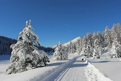 Bergweide L