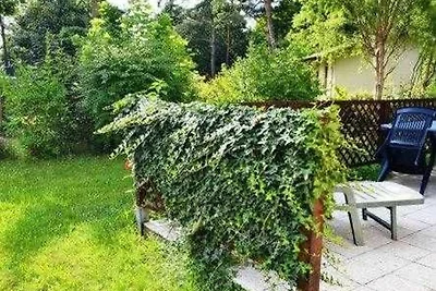 Ferienhaus am Wadehäng