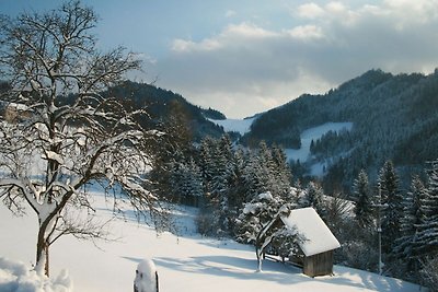 Vakantieappartement Gezinsvakantie Eisenberg