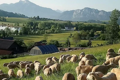 Appartamento Vacanza con famiglia Mondsee