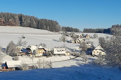 Vakantieappartement Gezinsvakantie Biederbach