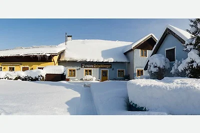 Appartamento Vacanza con famiglia Mondsee