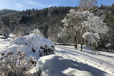 Vakantieappartement Gezinsvakantie Waldkirch