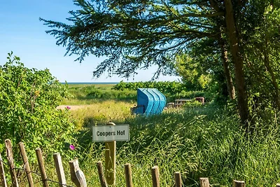 Vakantiehuis Ontspannende vakantie Witsum