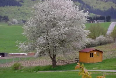 Vakantieappartement Gezinsvakantie Medelon