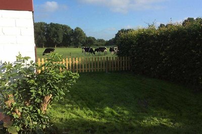 Holiday home relaxing holiday Leer