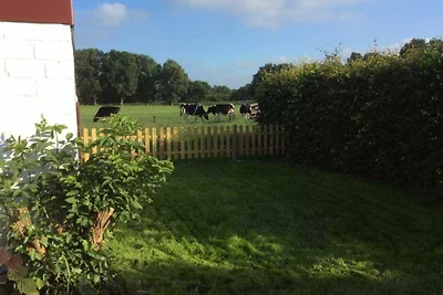 Vakantiehuis Ontspannende vakantie Leer