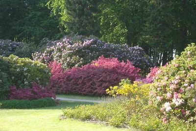 Ferienwohnung Bernstein 7