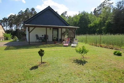 Vakantieappartement Gezinsvakantie Lychen