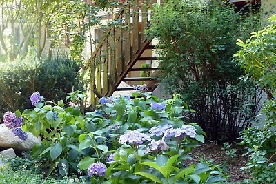 Ohlerich Speicher App. 33