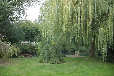Ferienwohnung, 59 m², Parterre, 1 Schlafraum,...