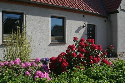 3-Raum-Ferienwohnung im Landhaus Hein (63m², ...