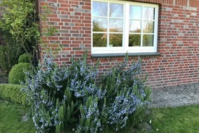 Vakantieappartement Gezinsvakantie Drochtersen Krautsand