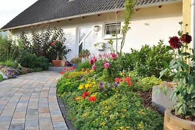 Ferienwohnung Bramwaldblick mit 2...
