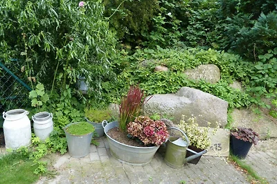 Vakantieappartement Gezinsvakantie Ralswiek