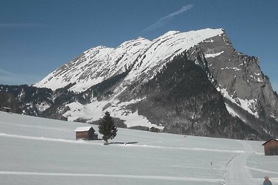 Vakantieappartement Gezinsvakantie Au in Vorarlberg