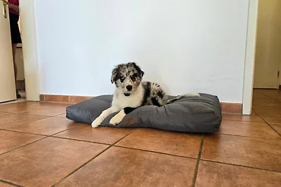 Vakantieappartement Gezinsvakantie Sagard